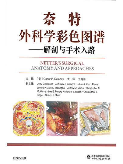 奈特外科學彩色圖譜——解剖與手術入路