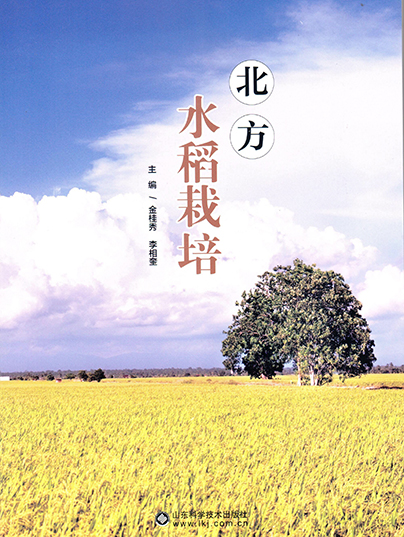 北方水稻栽培